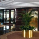 Pinnacle tenant buildout shot