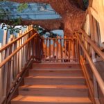 Treehouse stairs inside of Georgie Porgie