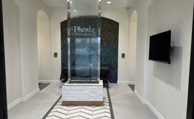 Phenix Salon Construction